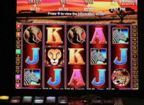 ayx官方app最新版